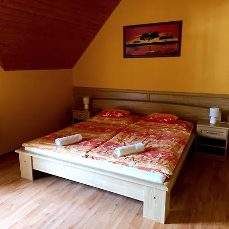 Guest house Napsugar Vendeghaz-apartman *